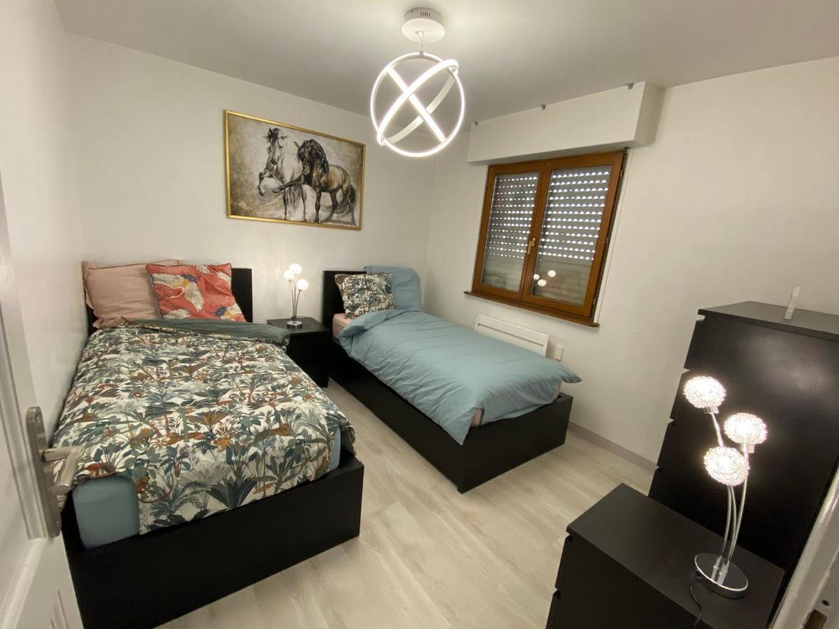 Mallo'S Lodge Avec Parking Gratuit Et 2 Balcons 科尔马 外观 照片