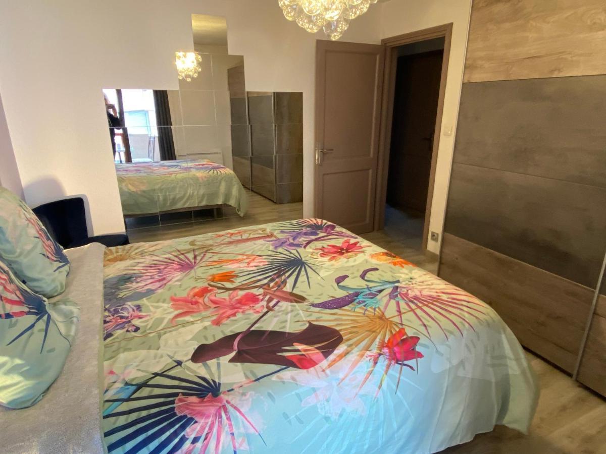 Mallo'S Lodge Avec Parking Gratuit Et 2 Balcons 科尔马 外观 照片